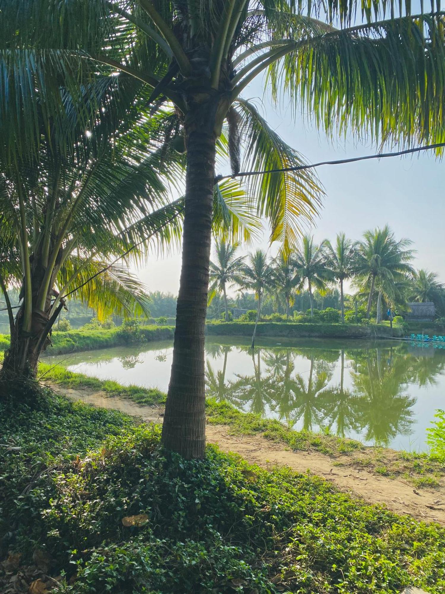 Laoxao Lakeview Homestay Hoi An Exterior photo